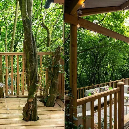 The Hut At Rawsons - Unique Woodland Glamping Levens